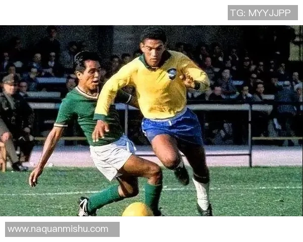 巴西足球明星大叔的传奇人生与辉煌成就揭秘