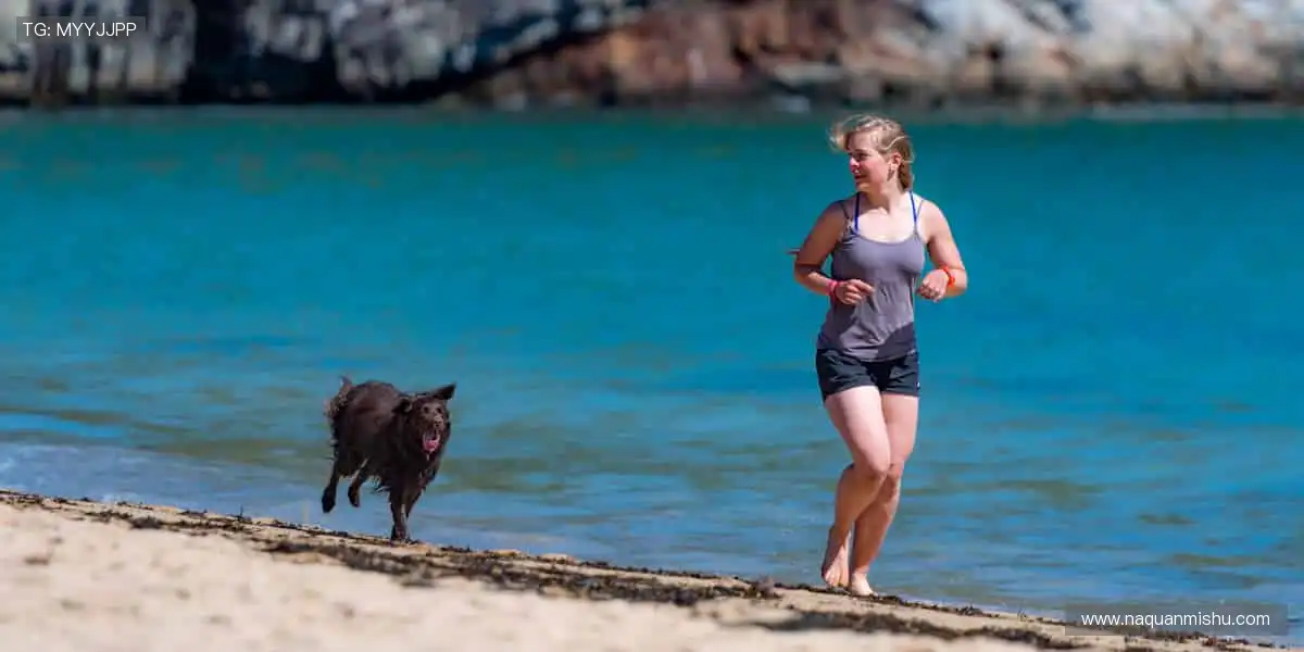 📺 高清直播，让你身临其境！